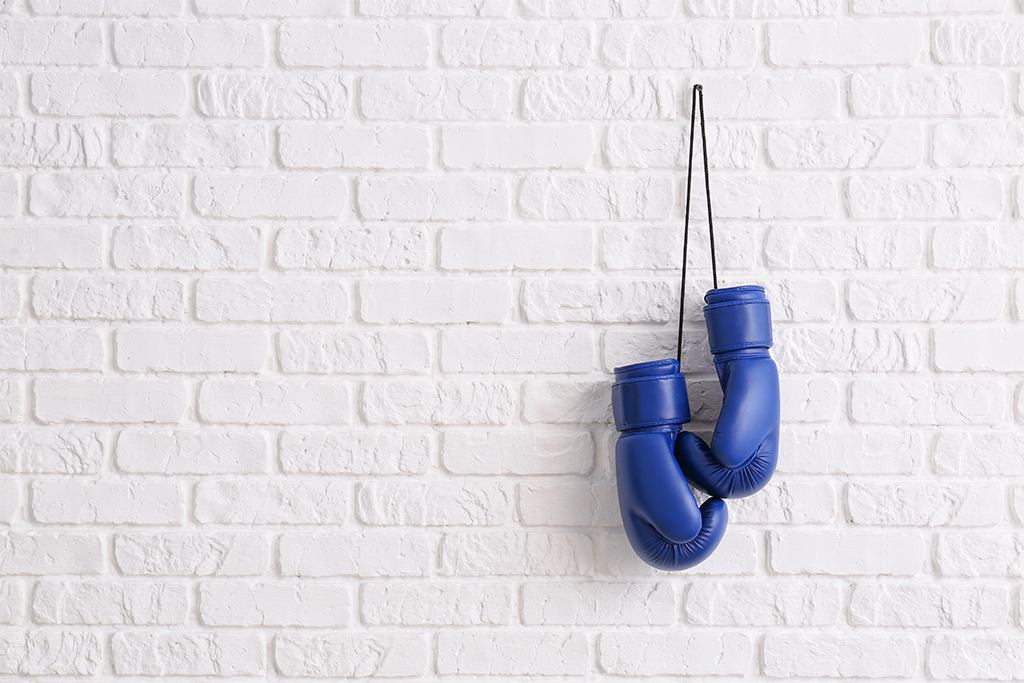 Boxe Française à Epône 78